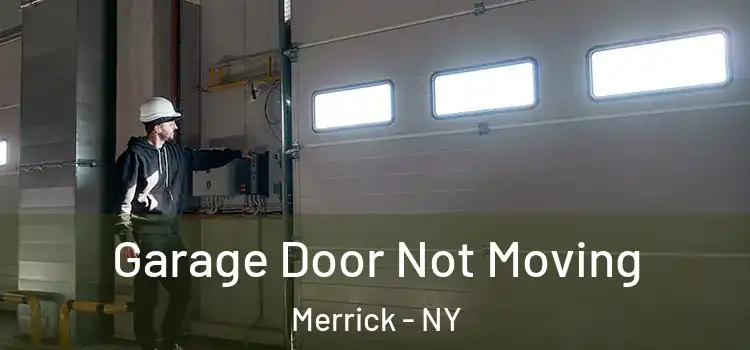  Garage Door Not Moving Merrick - NY