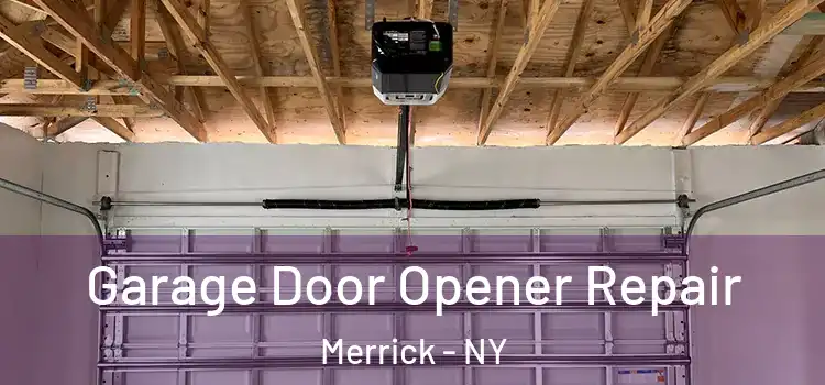  Garage Door Opener Repair Merrick - NY