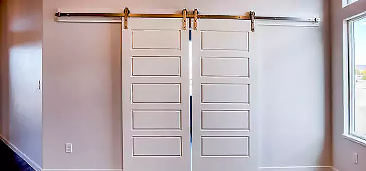 Glass Barn Door with Installation Hardware Kit Merrick