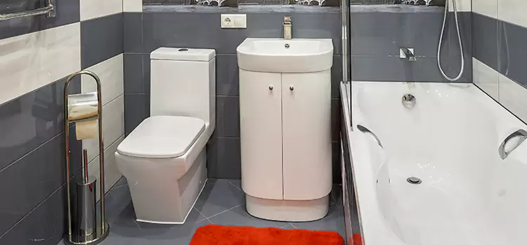 Hansgrohe Shaving Mirror Merrick